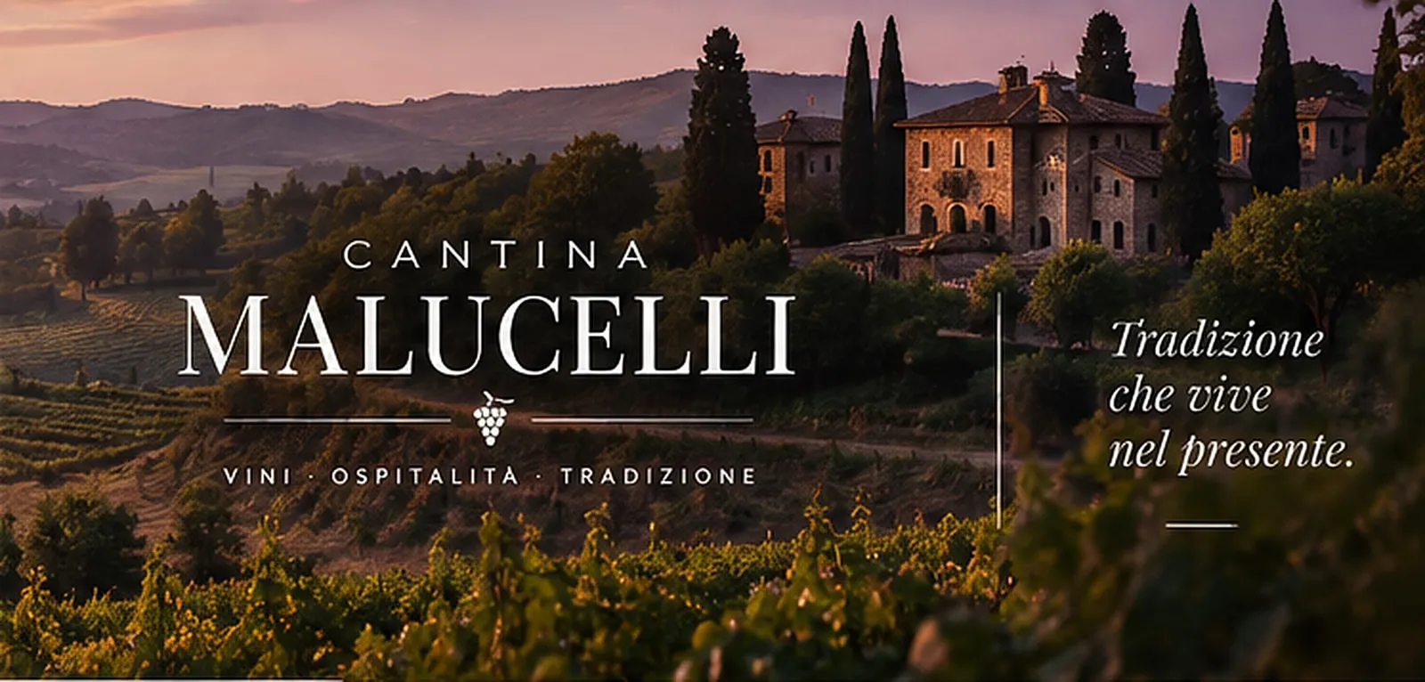 Logotipo da Cantina Malucelli aplicado sobre foto do vinhedo ao entardecer